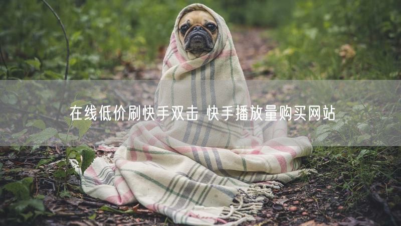 在线低价刷快手双击 快手播放量购买网站