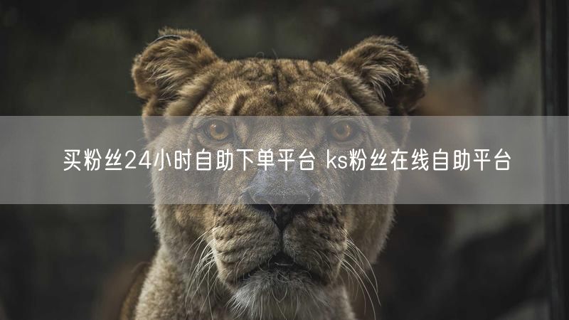买粉丝24小时自助下单平台 ks粉丝在线自助平台