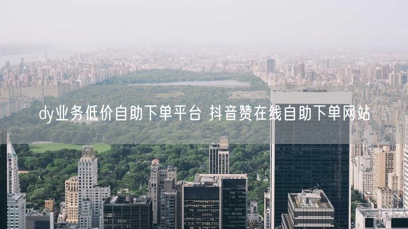 dy业务低价自助下单平台 抖音赞在线自助下单网站