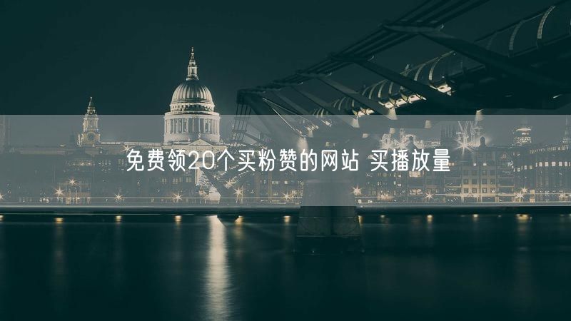 免费领20个买粉赞的网站 买播放量