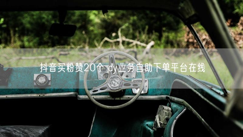 抖音买粉赞20个 dy业务自助下单平台在线