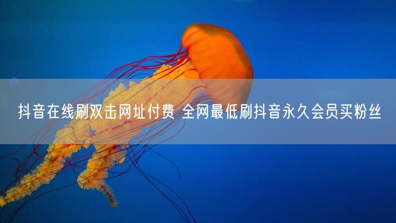 抖音在线刷双击网址付费 全网最低刷抖音永久会员买粉丝