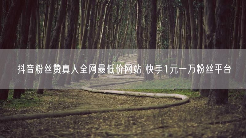 抖音粉丝赞真人全网最低价网站 快手1元一万粉丝平台