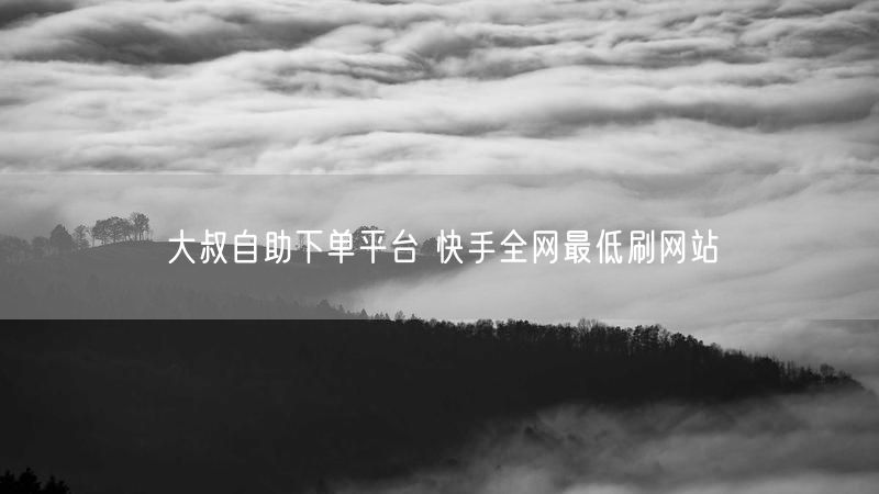 大叔自助下单平台 快手全网最低刷网站
