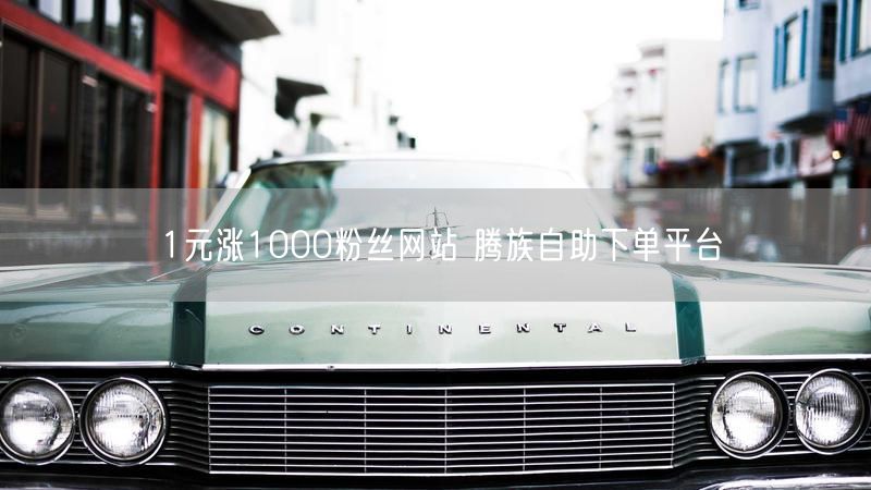 1元涨1000粉丝网站 腾族自助下单平台