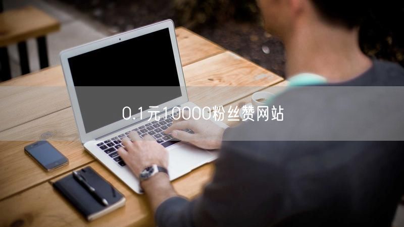 0.1元10000粉丝赞网站