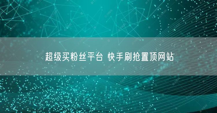 超级买粉丝平台 快手刷抢置顶网站