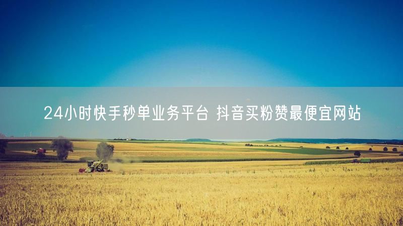 24小时快手秒单业务平台 抖音买粉赞最便宜网站