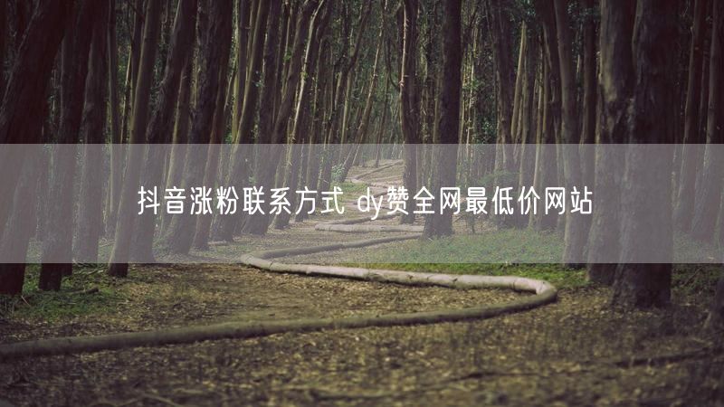 抖音涨粉联系方式 dy赞全网最低价网站