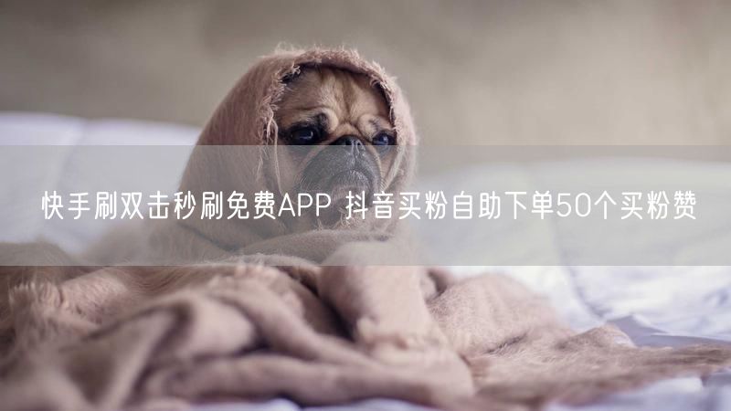 快手刷双击秒刷免费APP 抖音买粉自助下单50个买粉赞