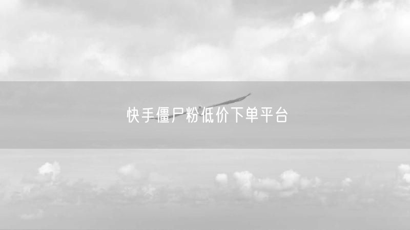 快手僵尸粉低价下单平台