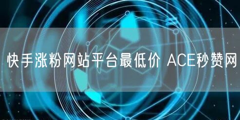 快手涨粉网站平台最低价 ACE秒赞网
