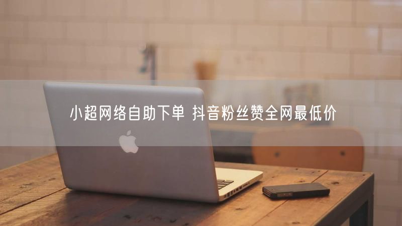 小超网络自助下单 抖音粉丝赞全网最低价