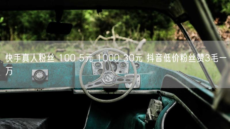 快手真人粉丝 100 5元 1000 30元 抖音低价粉丝赞3毛一万