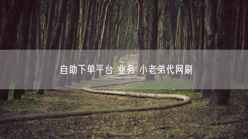 自助下单平台 业务 小老弟代网刷