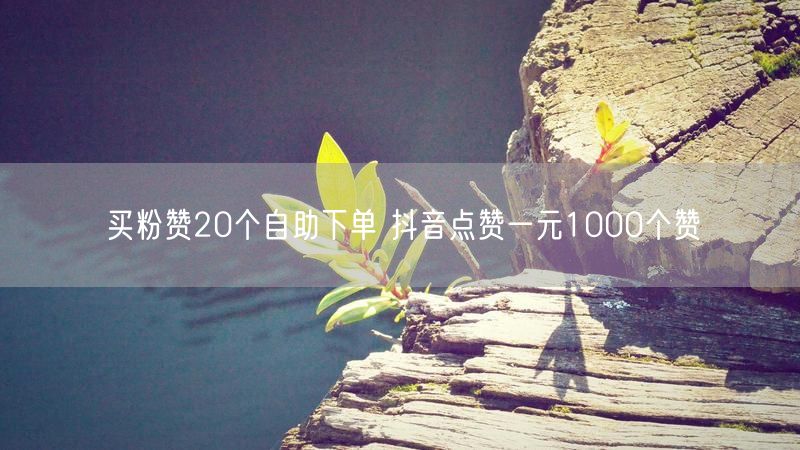 买粉赞20个自助下单 抖音点赞一元1000个赞