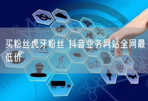 买粉丝虎牙粉丝 抖音业务网站全网最低价