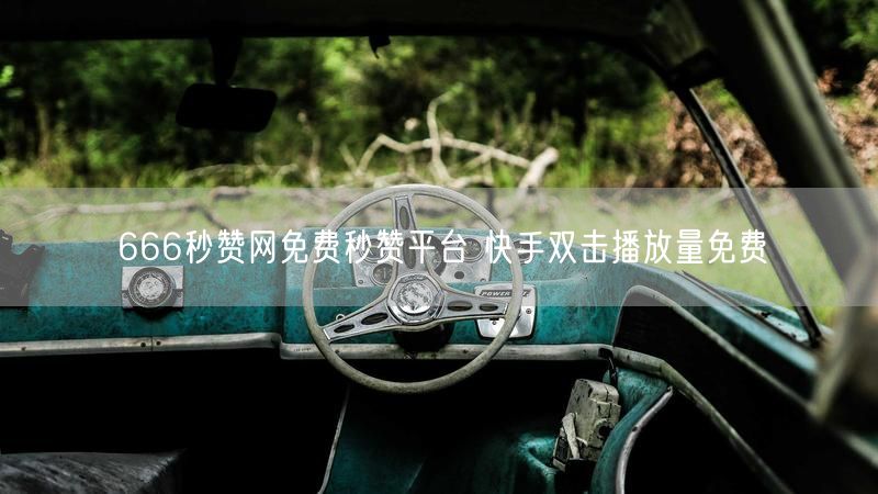 666秒赞网免费秒赞平台 快手双击播放量免费