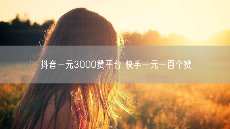抖音一元3000赞平台 快手一元一百个赞