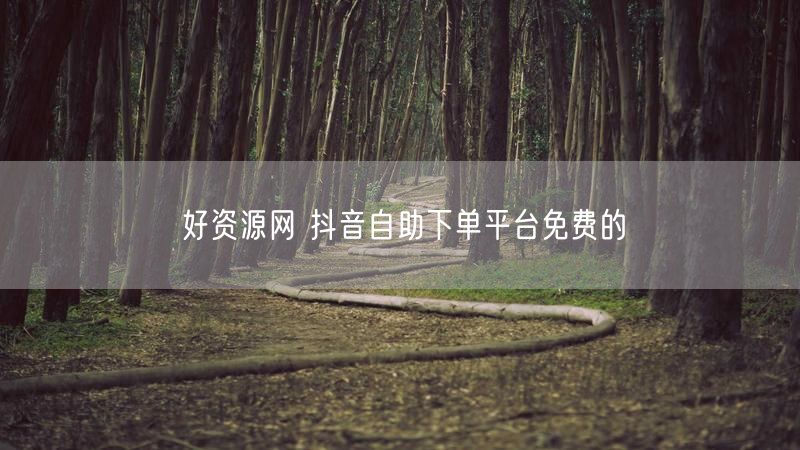 好资源网 抖音自助下单平台免费的