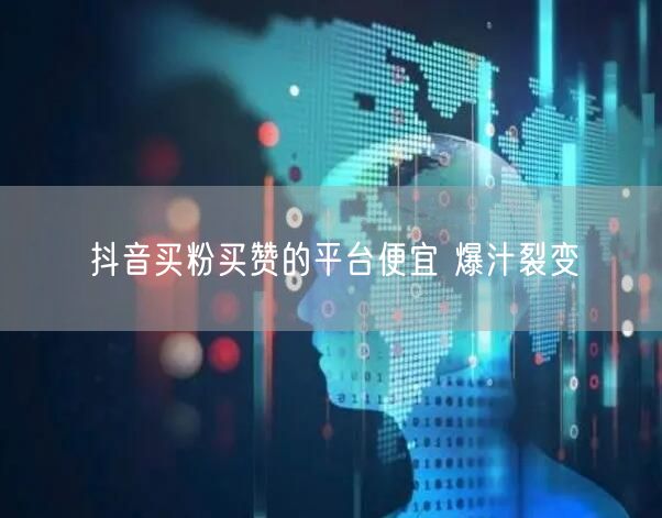 抖音买粉买赞的平台便宜 爆汁裂变