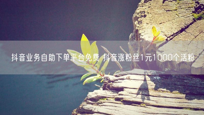 抖音业务自助下单平台免费 抖音涨粉丝1元1000个活粉