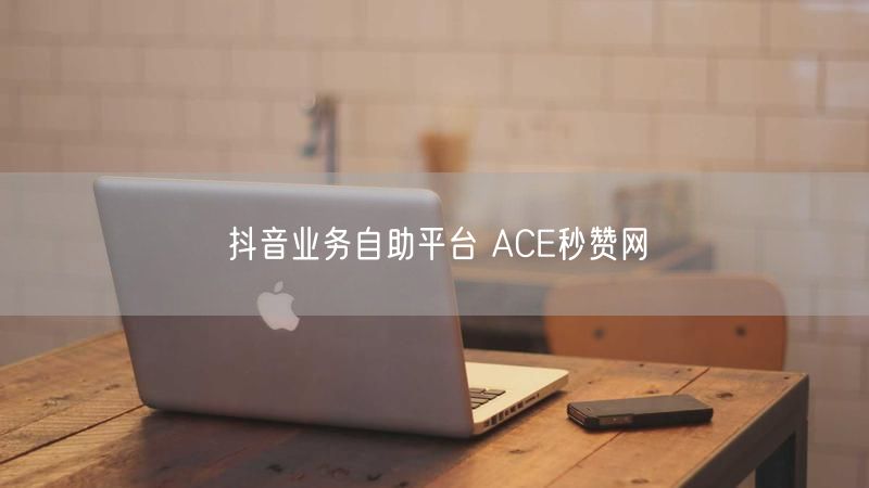 抖音业务自助平台 ACE秒赞网