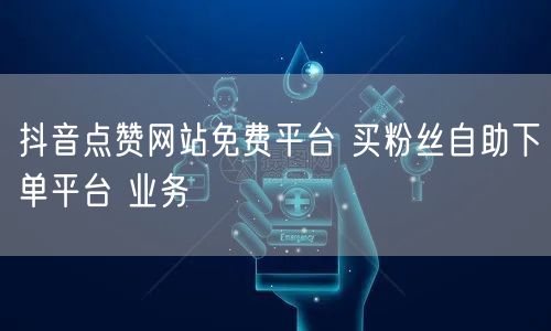 抖音点赞网站免费平台 买粉丝自助下单平台 业务