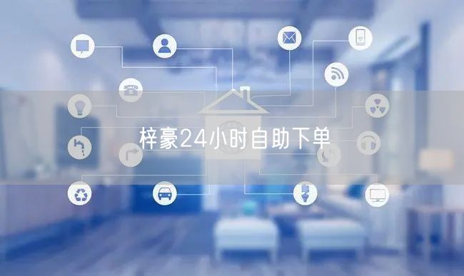 梓豪24小时自助下单