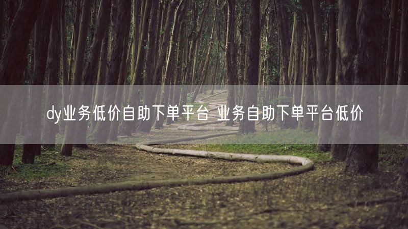 dy业务低价自助下单平台 业务自助下单平台低价