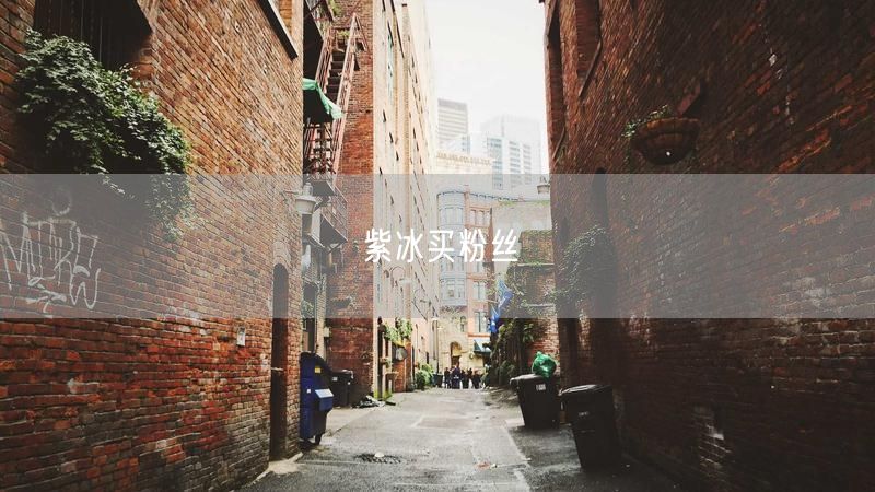 紫冰买粉丝