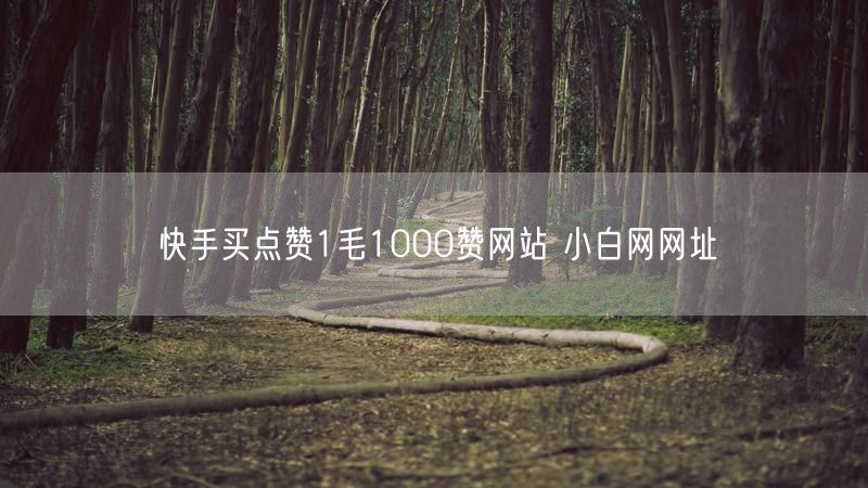 快手买点赞1毛1000赞网站 小白网网址