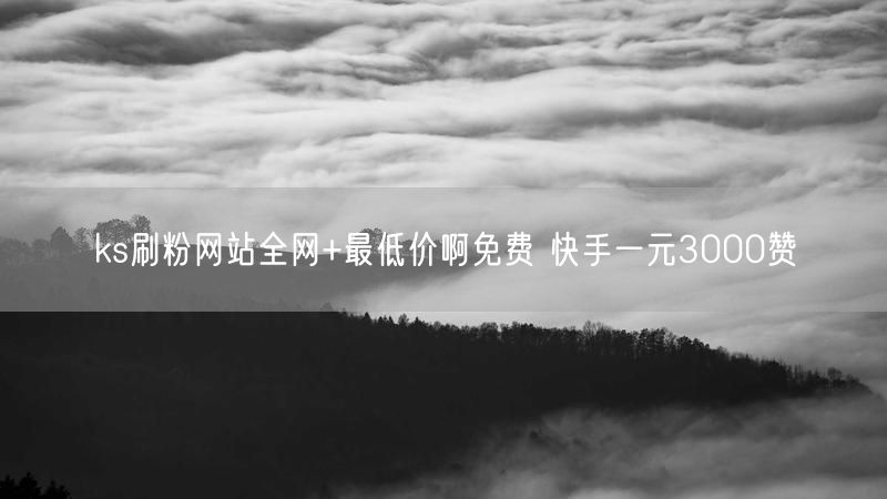 ks刷粉网站全网+最低价啊免费 快手一元3000赞