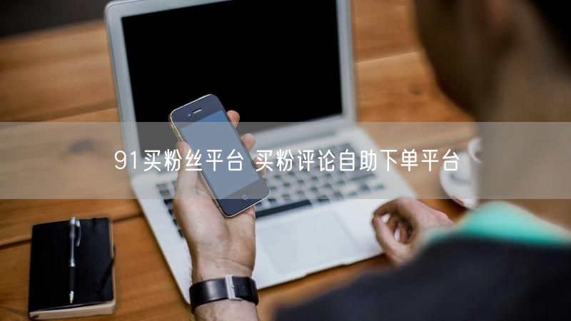 91买粉丝平台 买粉评论自助下单平台