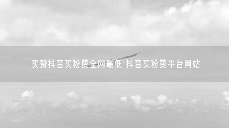 买赞抖音买粉赞全网最低 抖音买粉赞平台网站