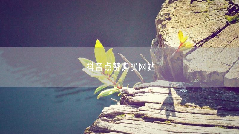抖音点赞购买网站