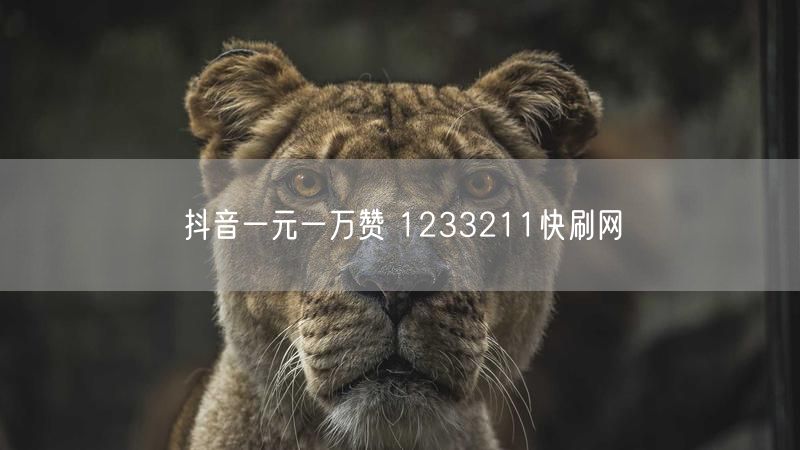 抖音一元一万赞 1233211快刷网