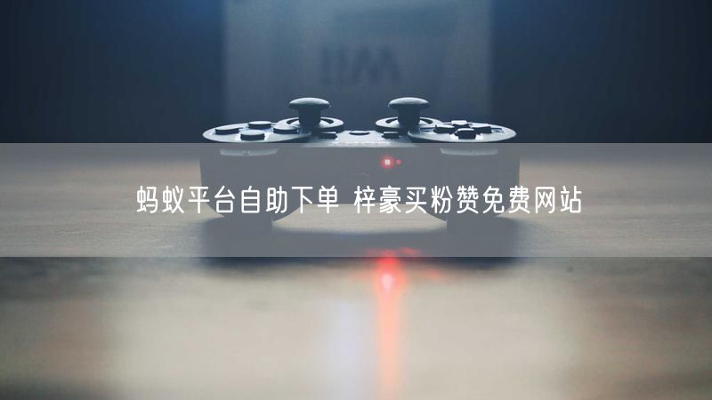 蚂蚁平台自助下单 梓豪买粉赞免费网站
