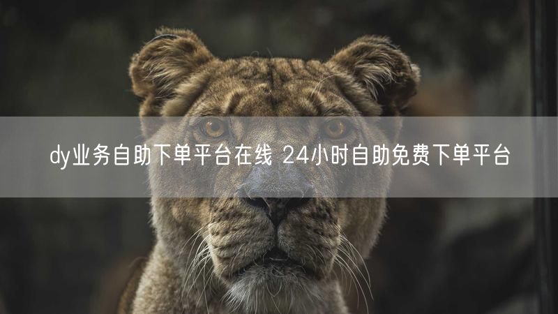 dy业务自助下单平台在线 24小时自助免费下单平台