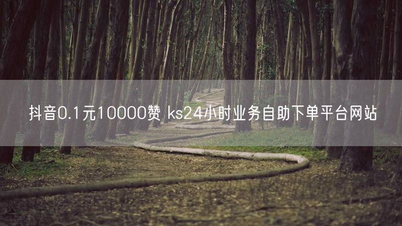 抖音0.1元10000赞 ks24小时业务自助下单平台网站