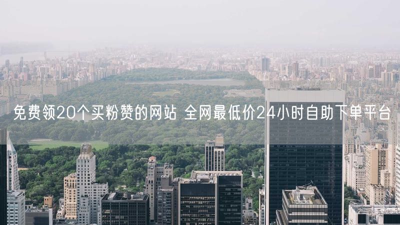 免费领20个买粉赞的网站 全网最低价24小时自助下单平台