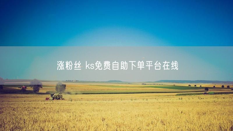 涨粉丝 ks免费自助下单平台在线