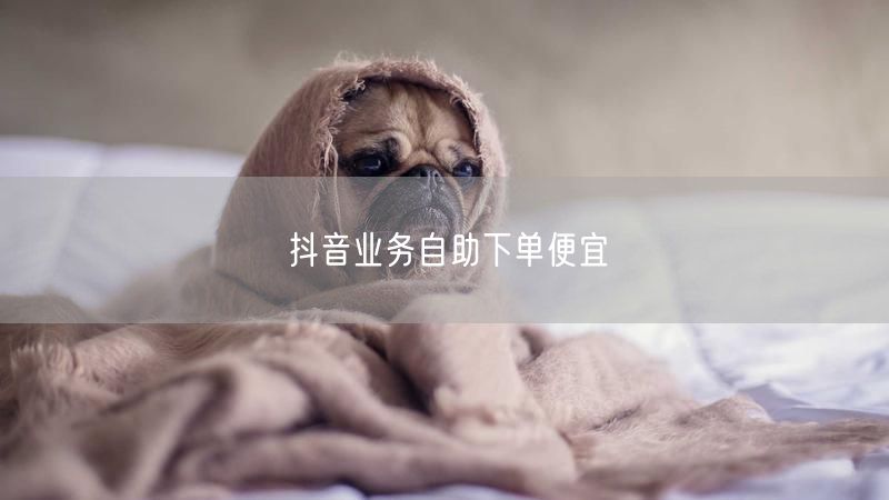 抖音业务自助下单便宜