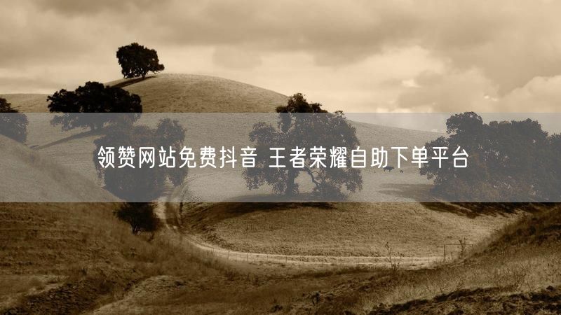 领赞网站免费抖音 王者荣耀自助下单平台