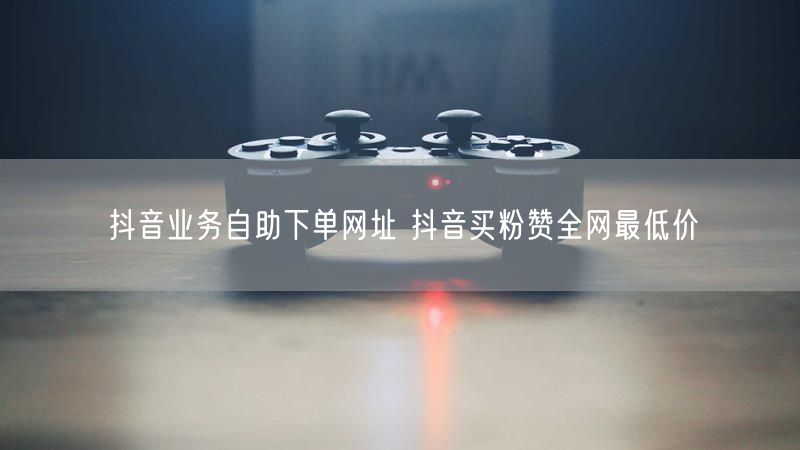 抖音业务自助下单网址 抖音买粉赞全网最低价