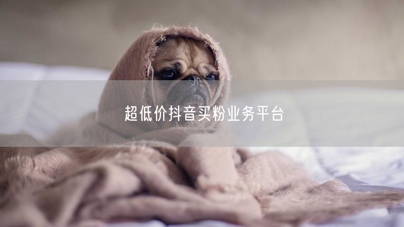 超低价抖音买粉业务平台