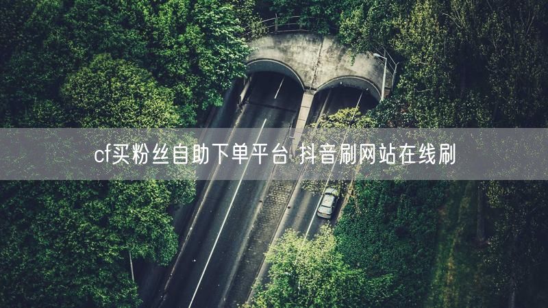 cf买粉丝自助下单平台 抖音刷网站在线刷