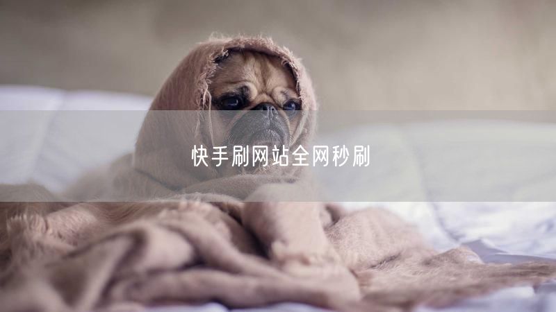 快手刷网站全网秒刷