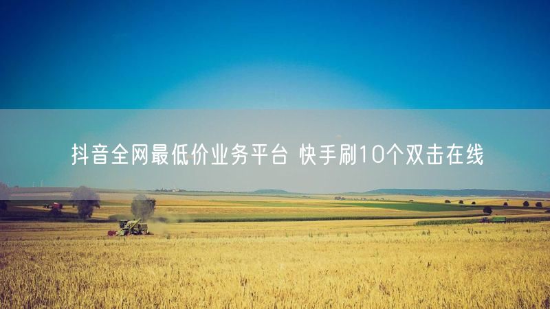 抖音全网最低价业务平台 快手刷10个双击在线