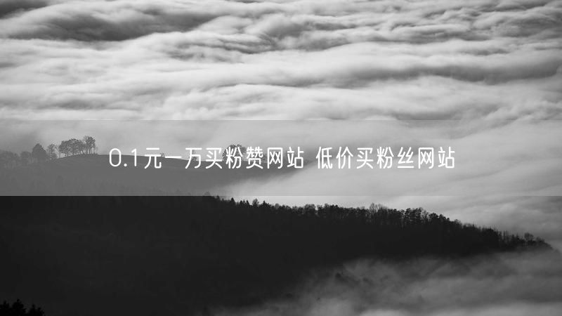 0.1元一万买粉赞网站 低价买粉丝网站